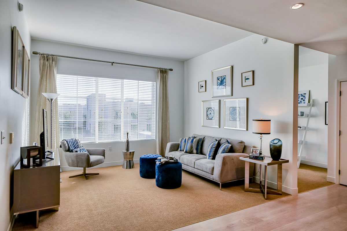 Windsor at Celebration, Kissimmee, FL 14