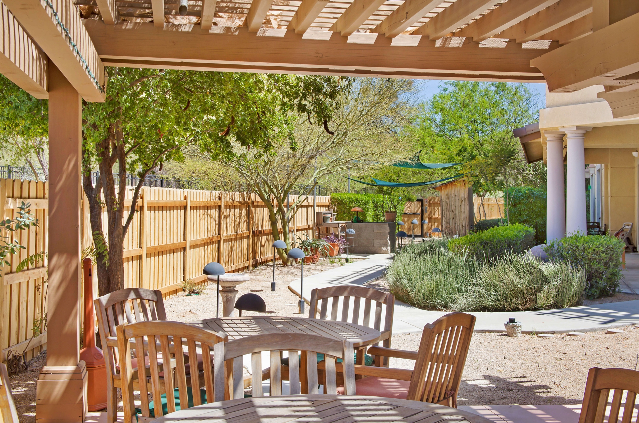 Sunrise at River Road, Tucson, AZ 4