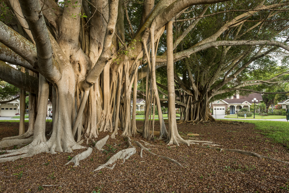 Freedom Village at Bradenton, Bradenton, FL 9