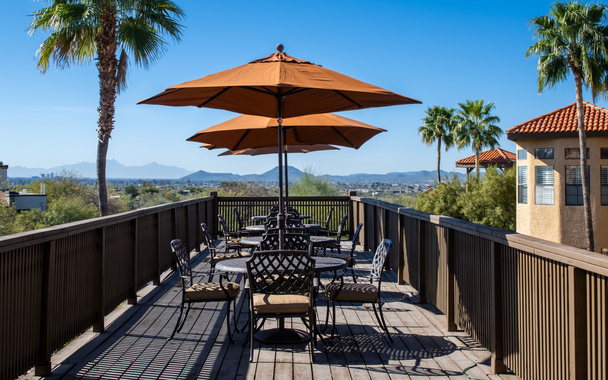 Amber Lights, Tucson, AZ 8