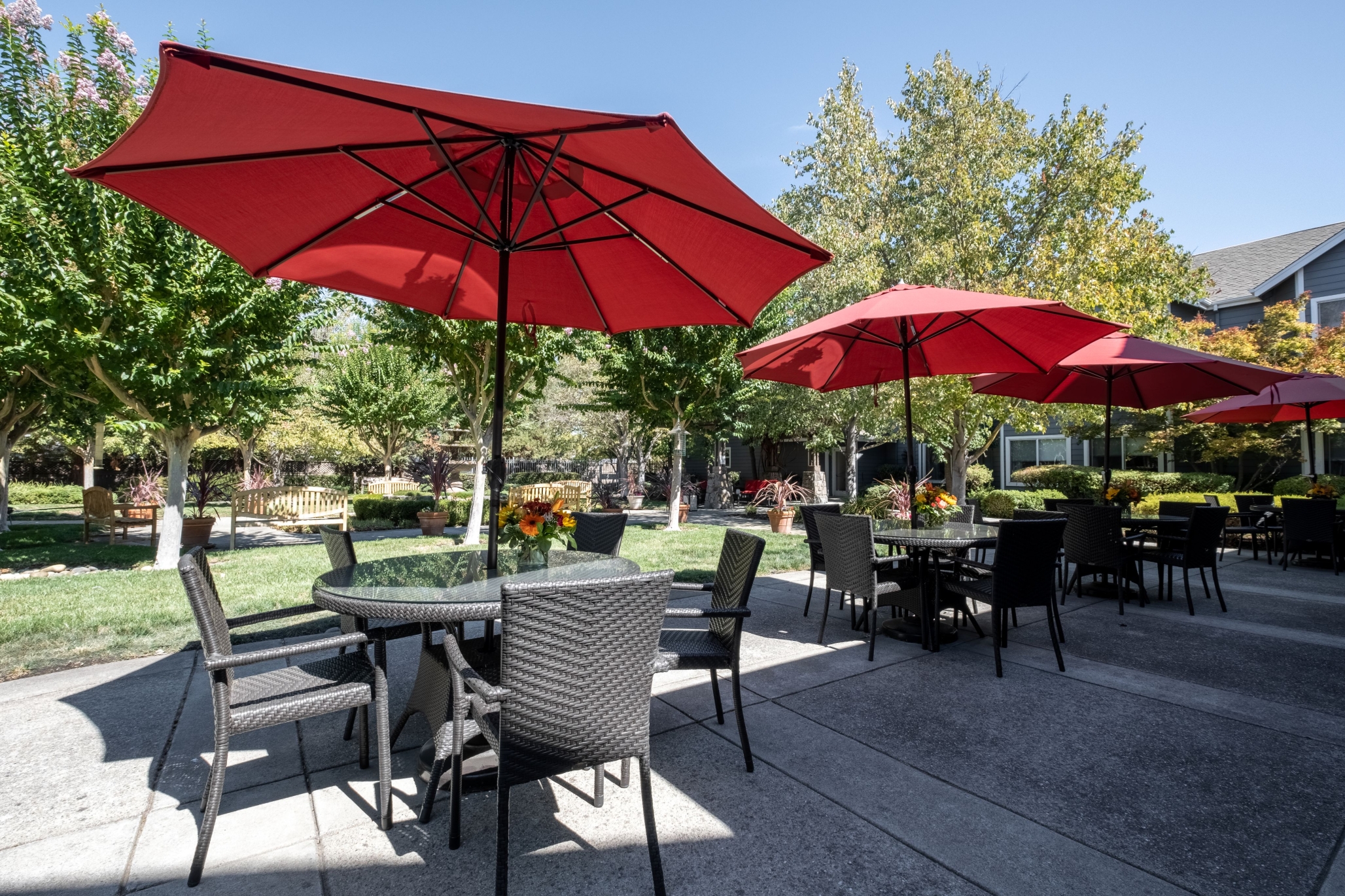 Aegis Living Pleasant Hill, Pleasant Hill, CA 3