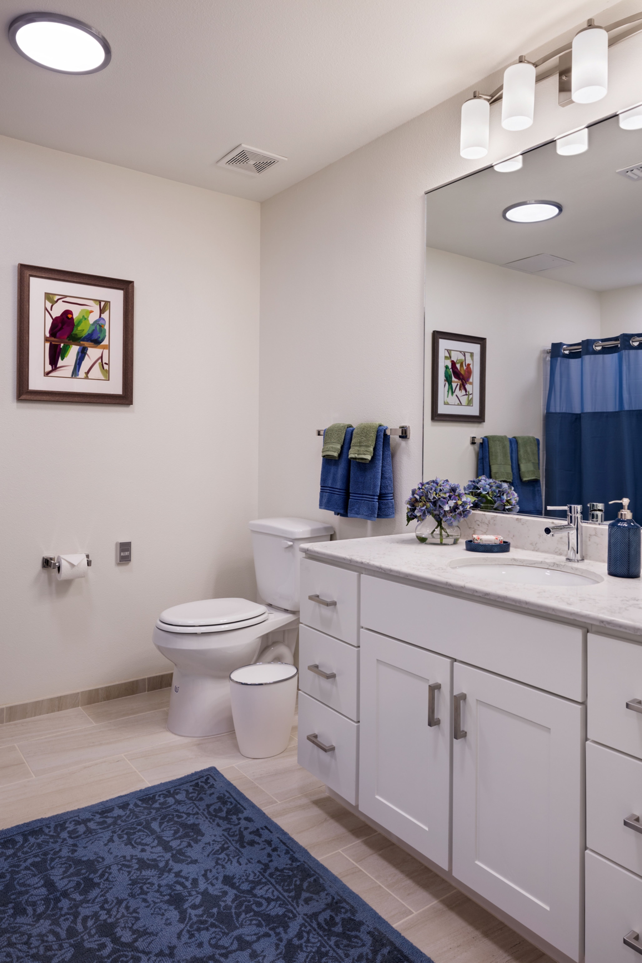 The Village at The Triangle, Austin, TX 3