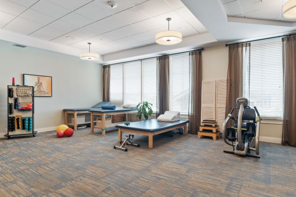 Arbor Terrace South Forsyth, Suwanee, GA 5