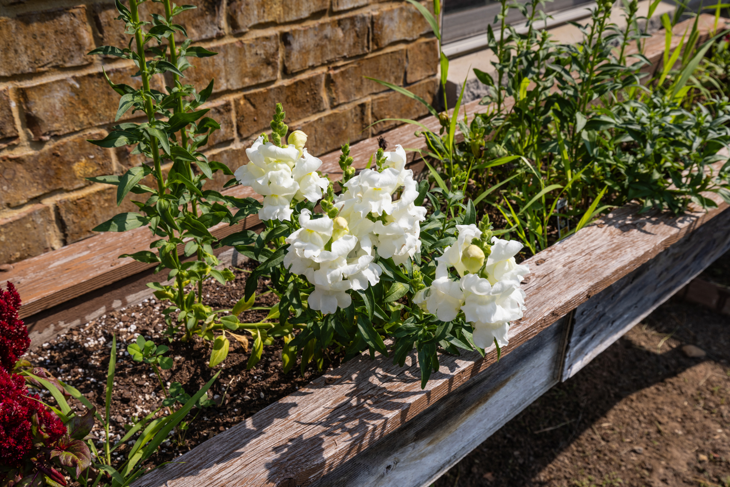 Arbor View, Burlington, WI 16