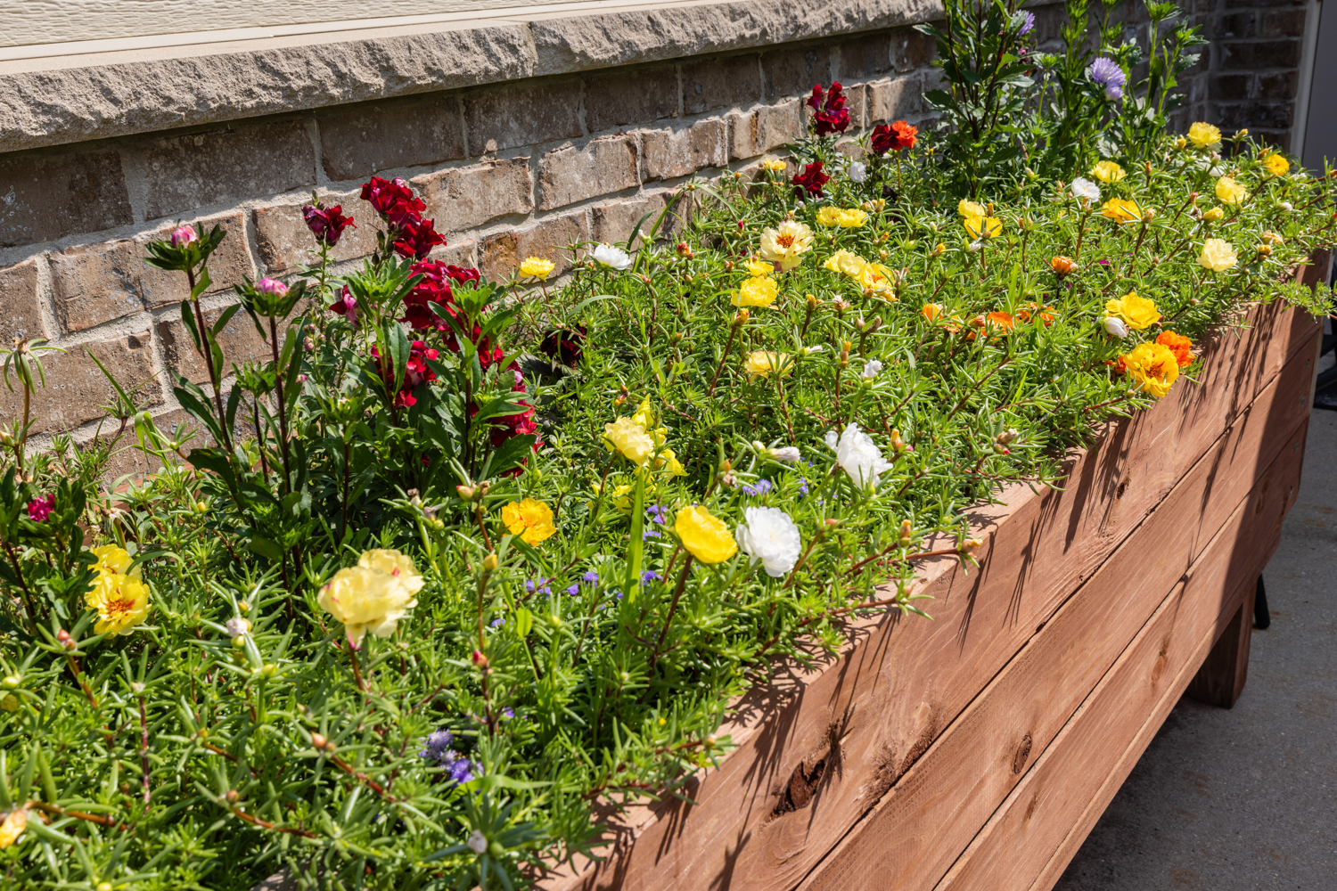 Arbor View, Burlington, WI 17