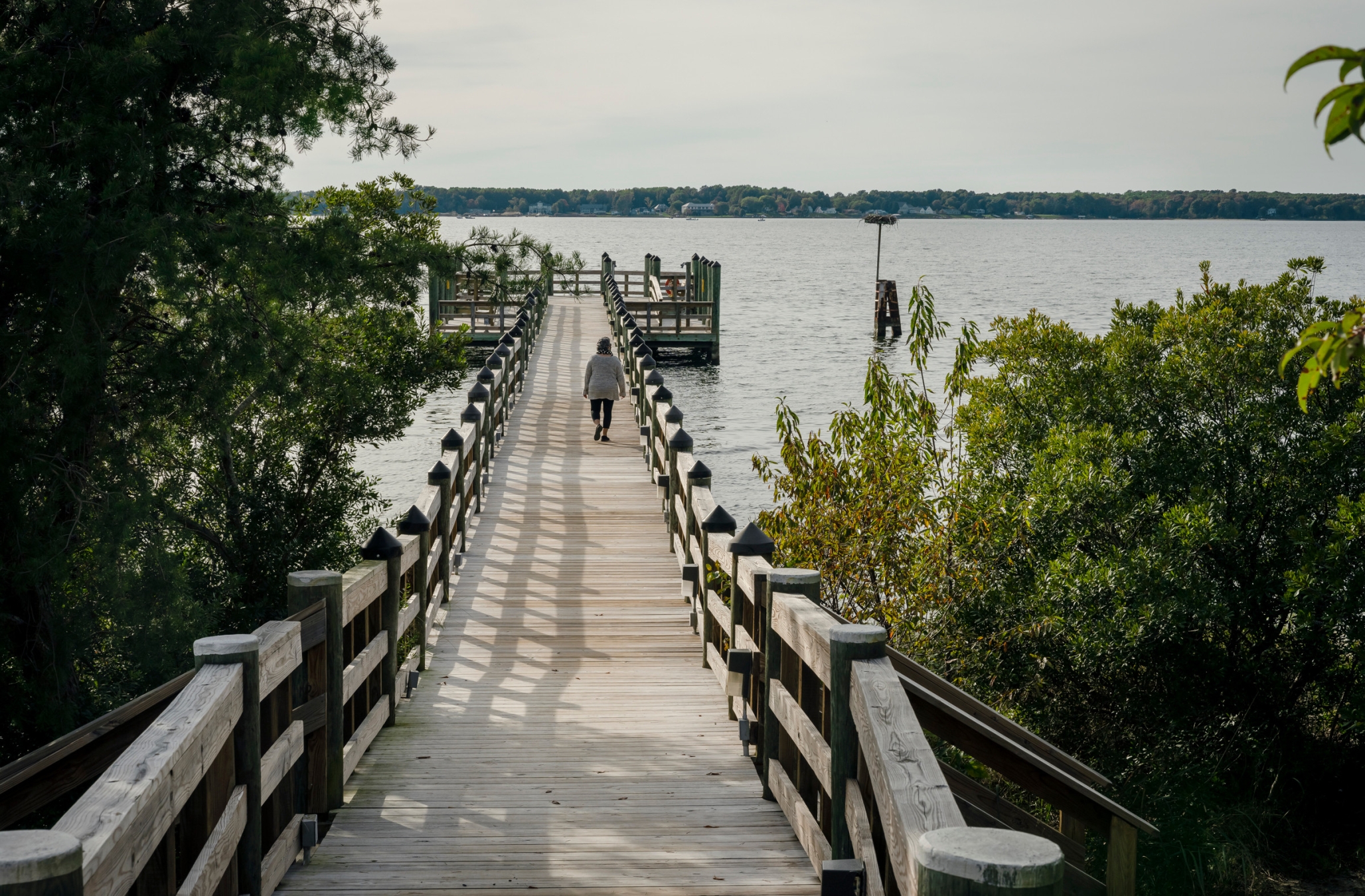 Asbury Solomons, Solomons, MD 10