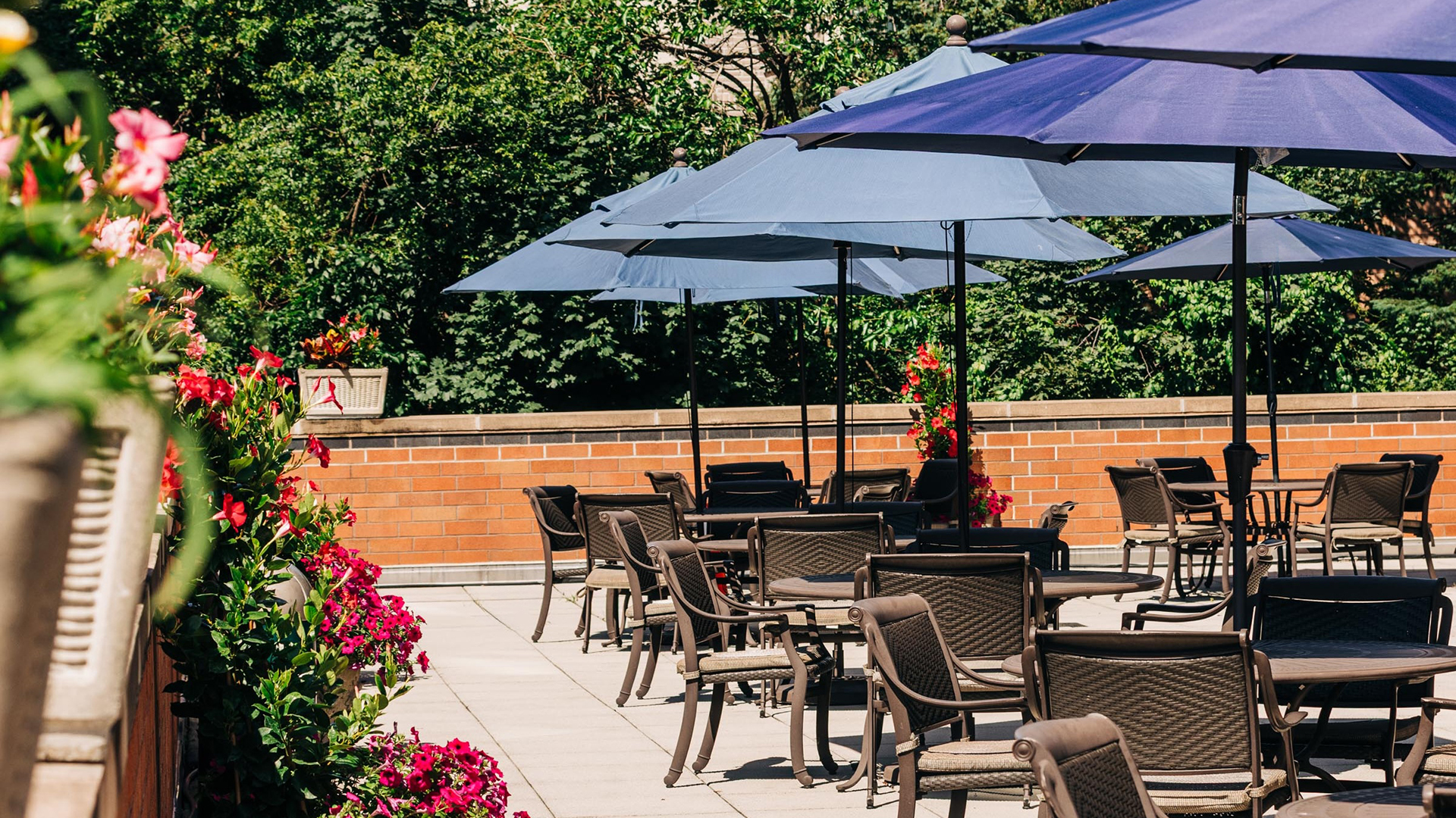Atria Forest Hills 17