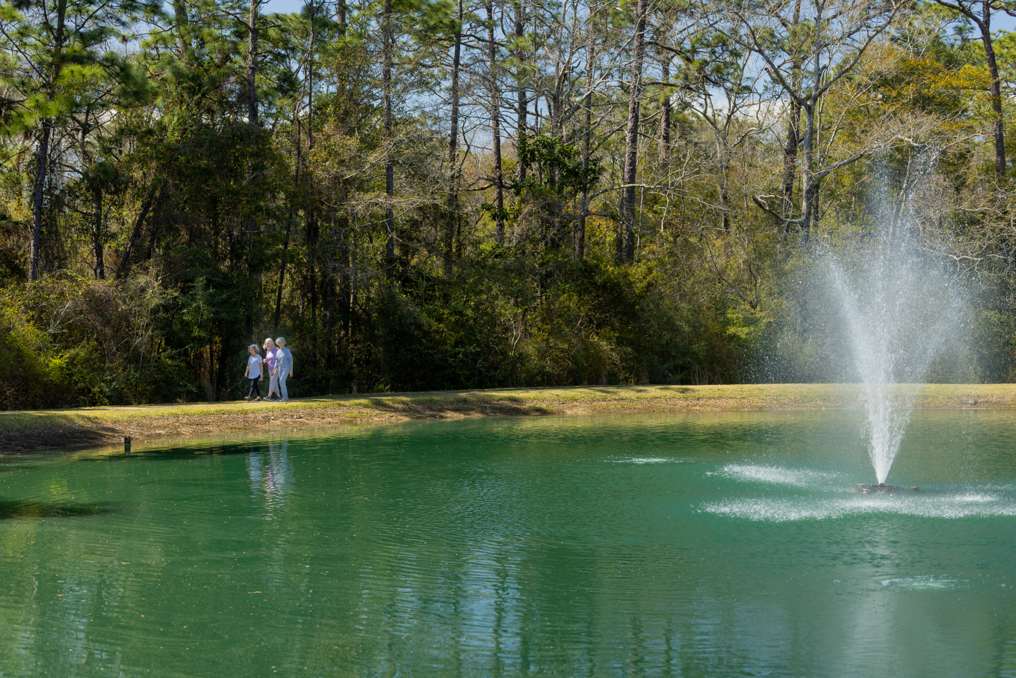 Azalea Trace, Pensacola, FL