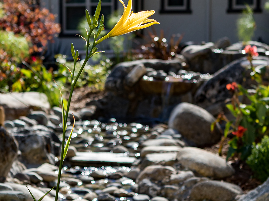 CountryHouse Granite Bay, Granite Bay, CA 16