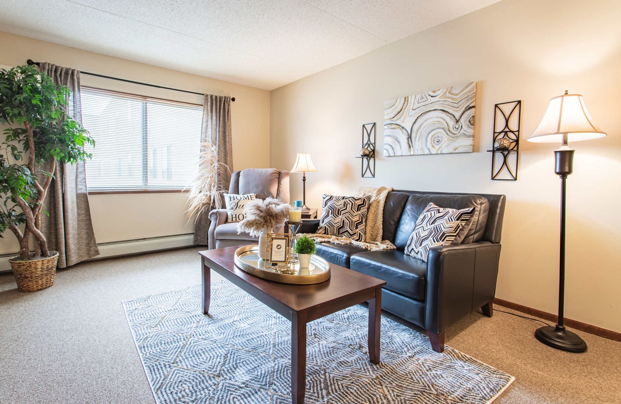 Chandler Place MN, Saint Anthony, MN 27