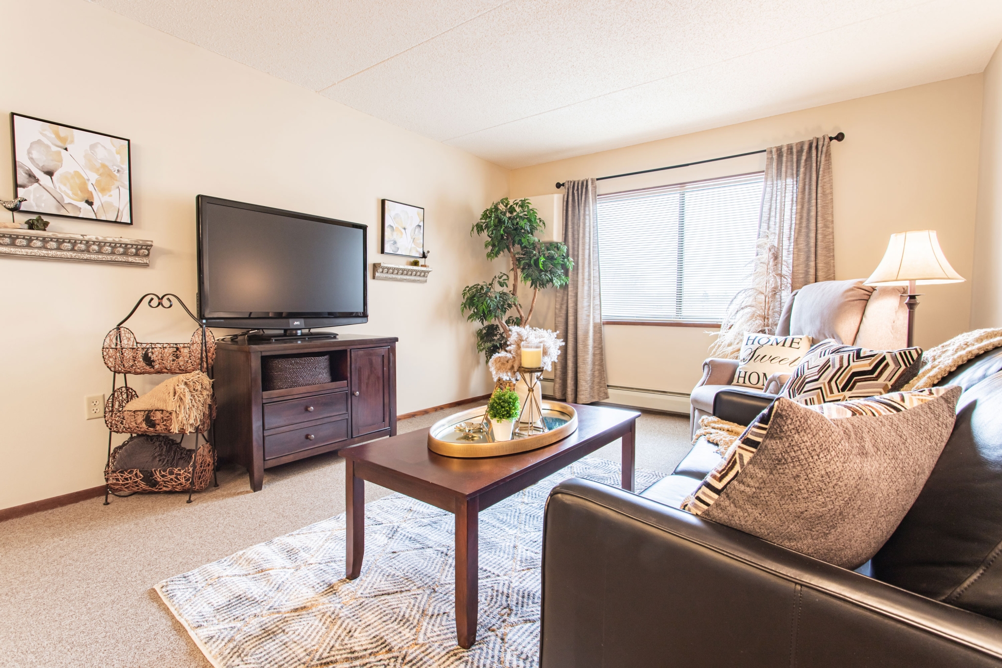 Chandler Place MN, Saint Anthony, MN 28