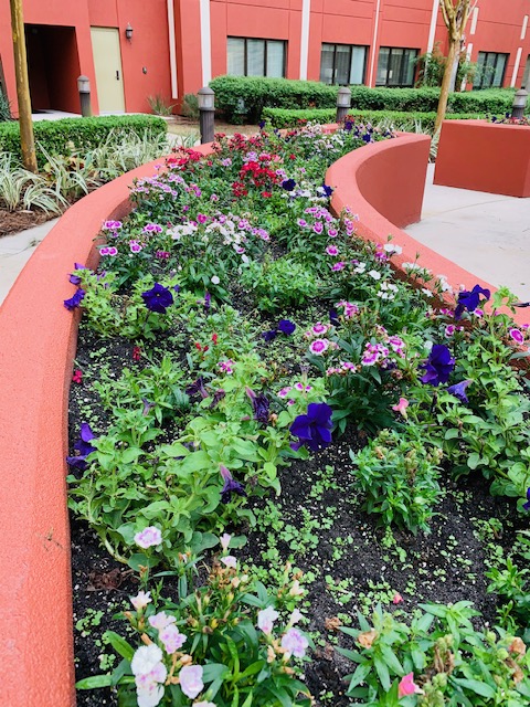 Freedom Pointe at The Villages, The Villages, FL 3