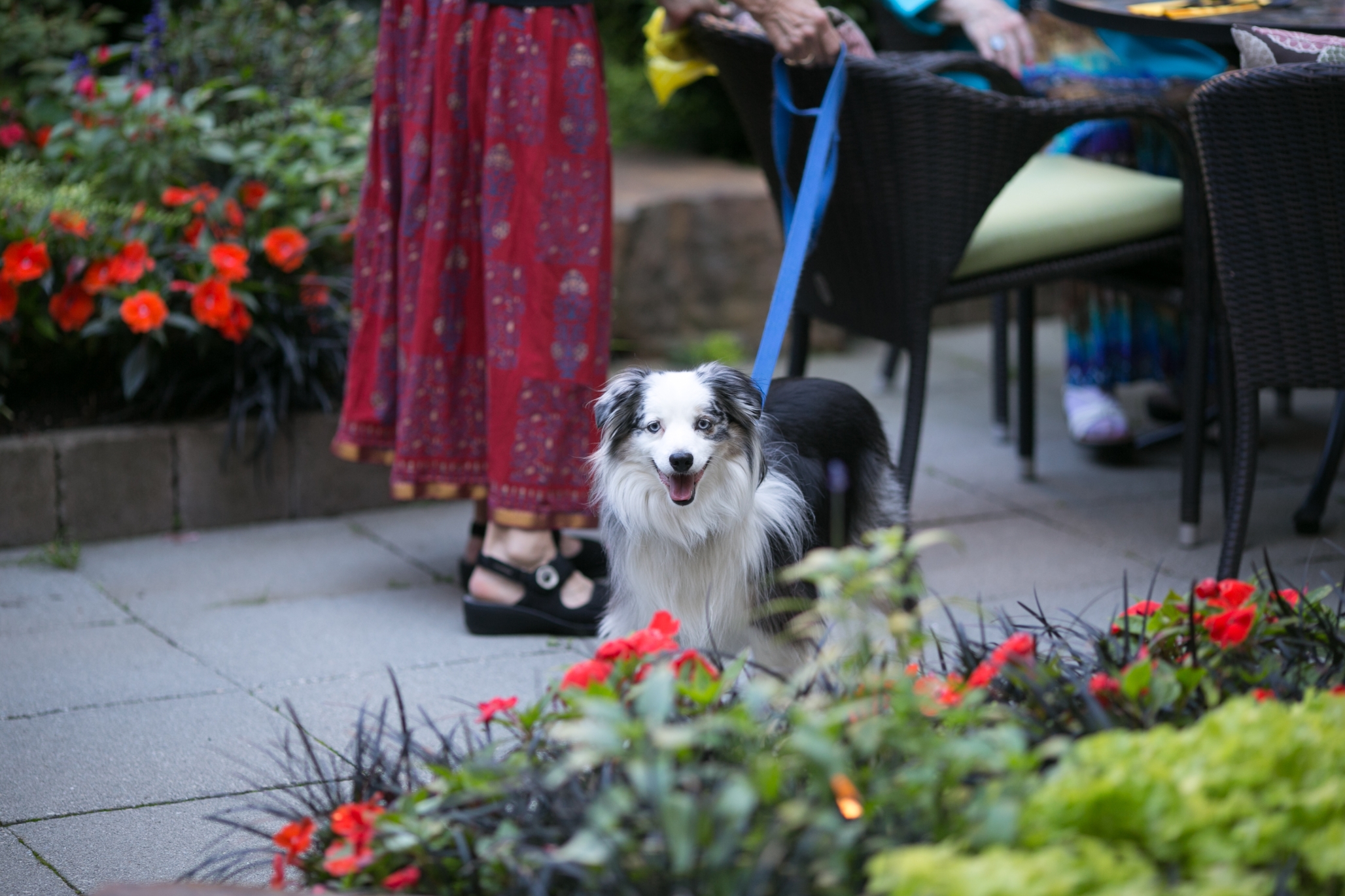 Aljoya Mercer Island, Mercer Island, WA 61