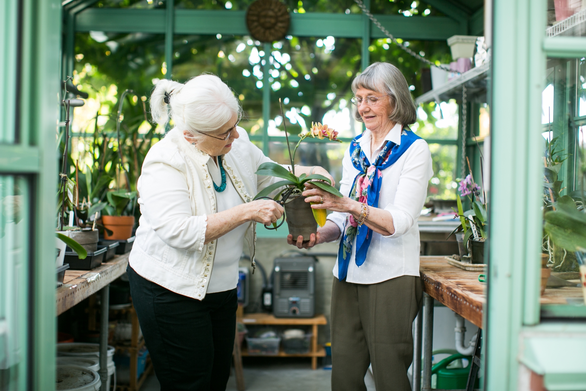 University House Wallingford, Seattle, WA 10