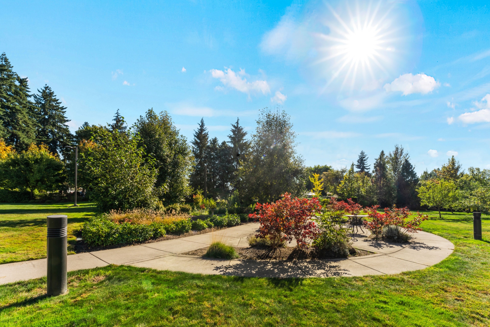The Archer of Crescent Park, Eugene, OR 3