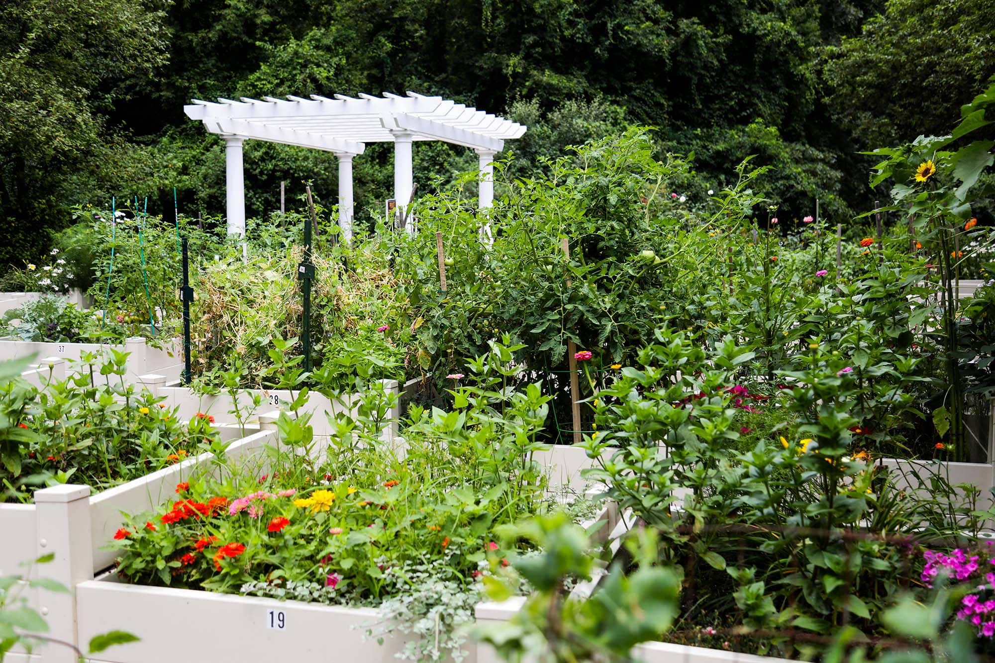 New Pond Village, Walpole, MA 3