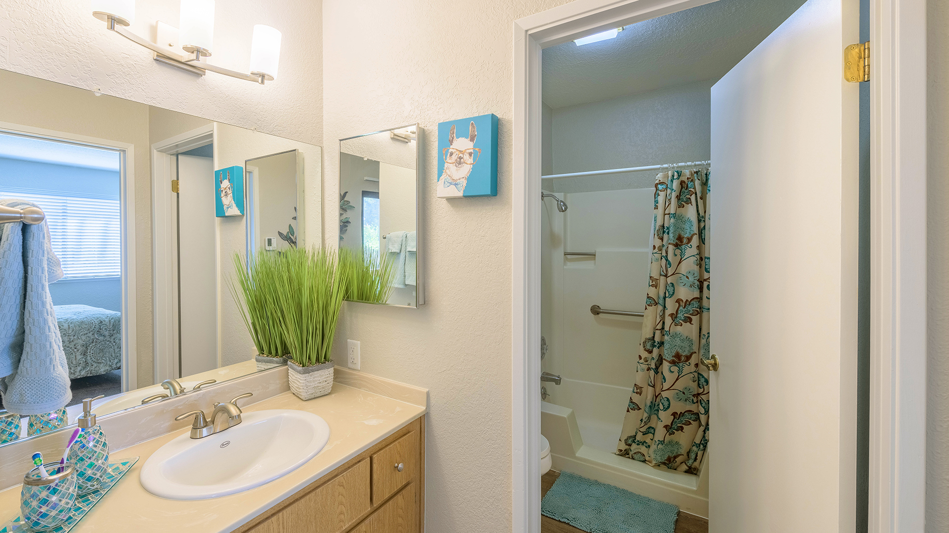 Springs of Napa, Napa, CA 11