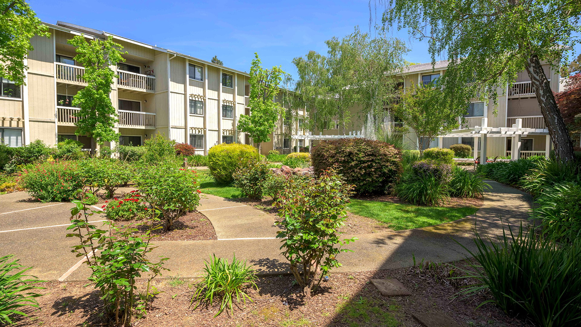 Springs of Napa, Napa, CA 13