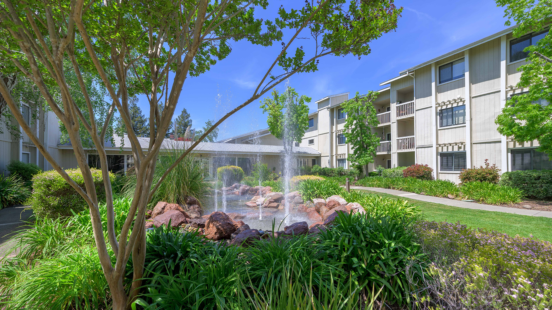 Springs of Napa, Napa, CA 15