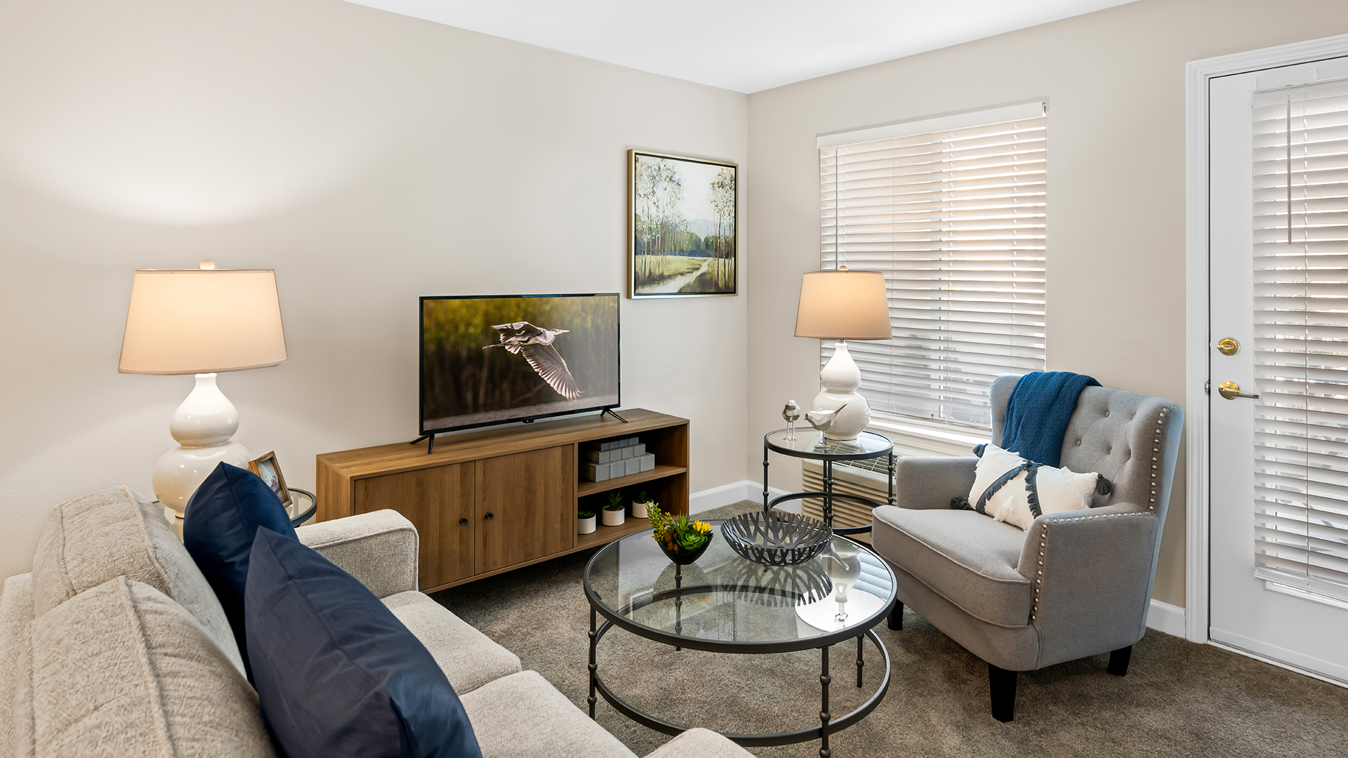 Vista de la Montana, Surprise, AZ 14