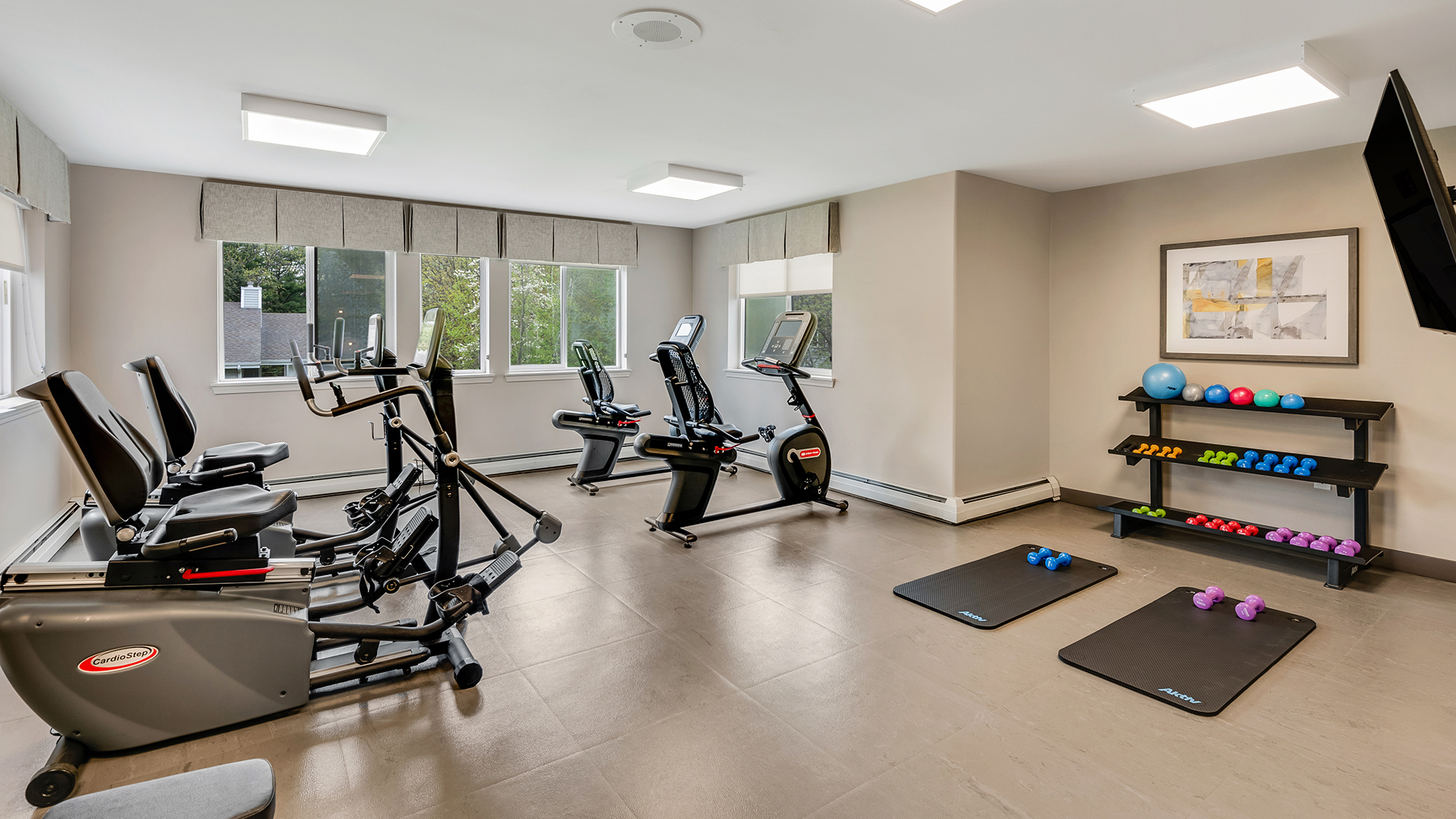 Woods at Canco, Portland, ME 8