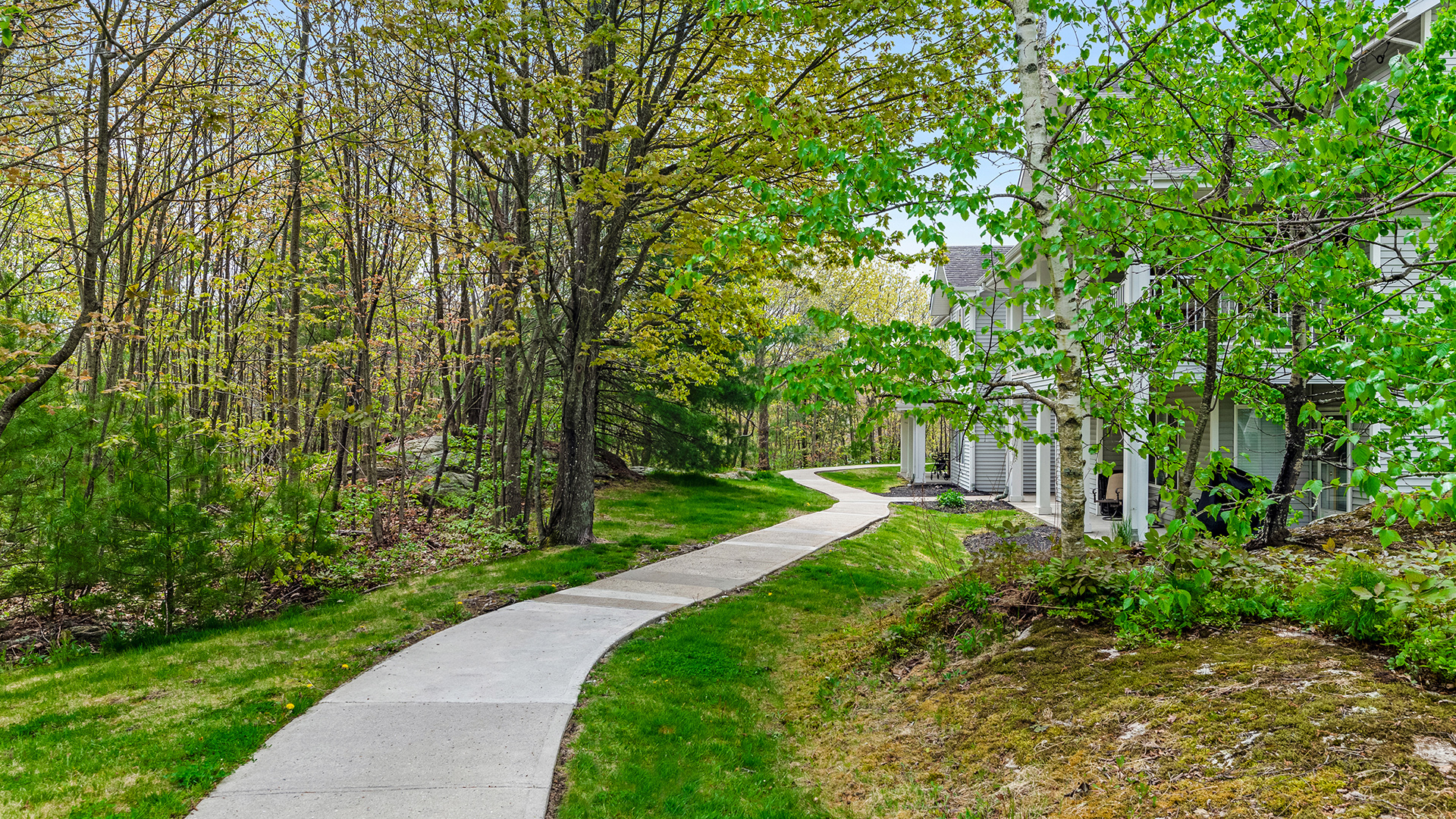 Woods at Canco, Portland, ME 13