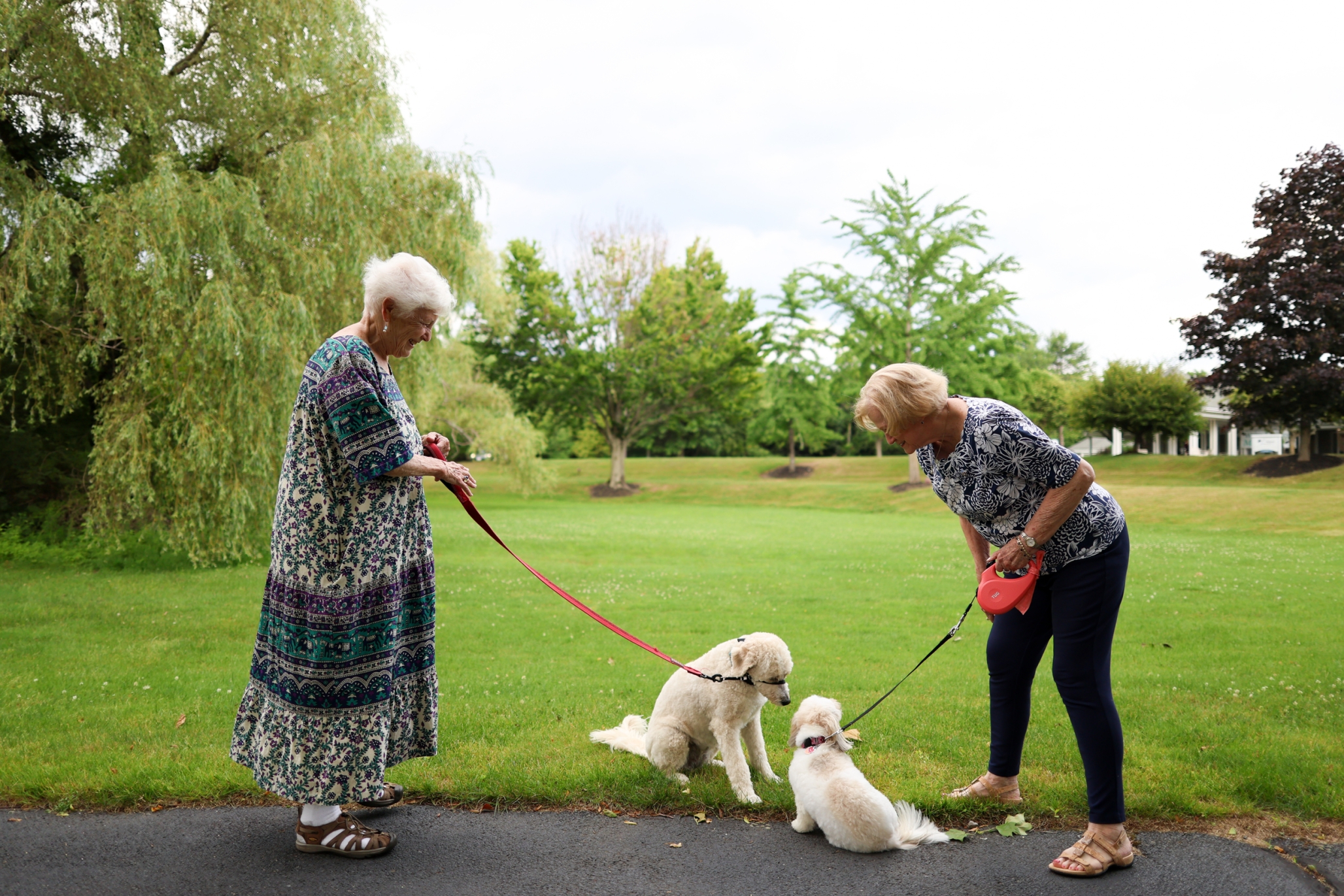 New Pond Village, Walpole, MA 7