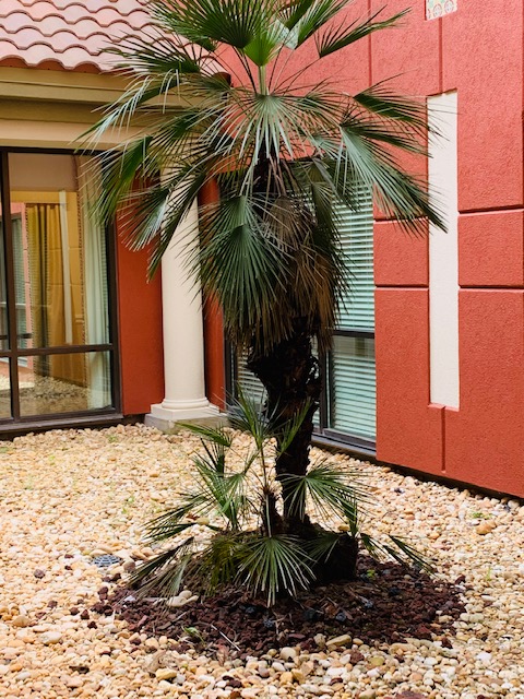 Freedom Pointe at The Villages, The Villages, FL 18