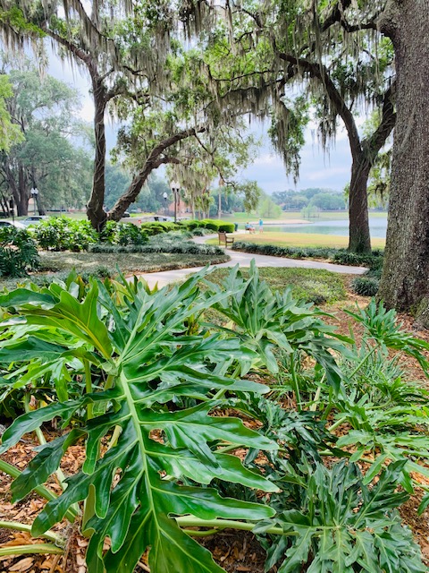 Freedom Pointe at The Villages, The Villages, FL 22