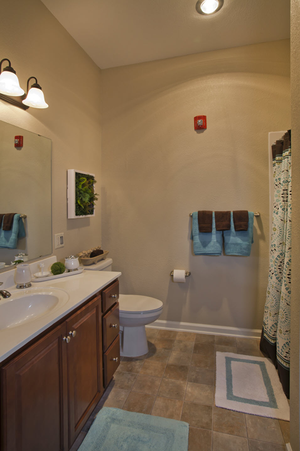 Heritage at Irene Woods, Collierville, TN 13