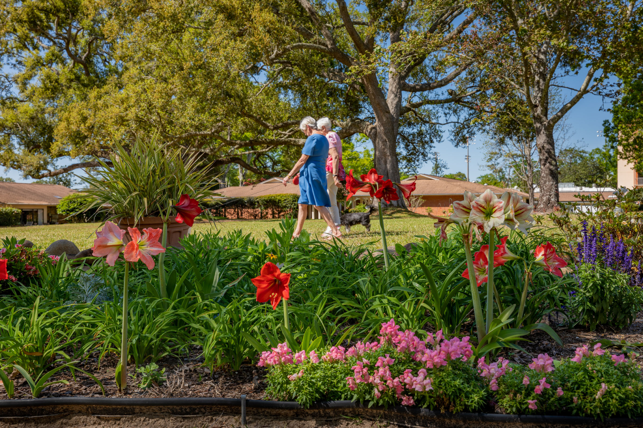 Azalea Trace, Pensacola, FL 4