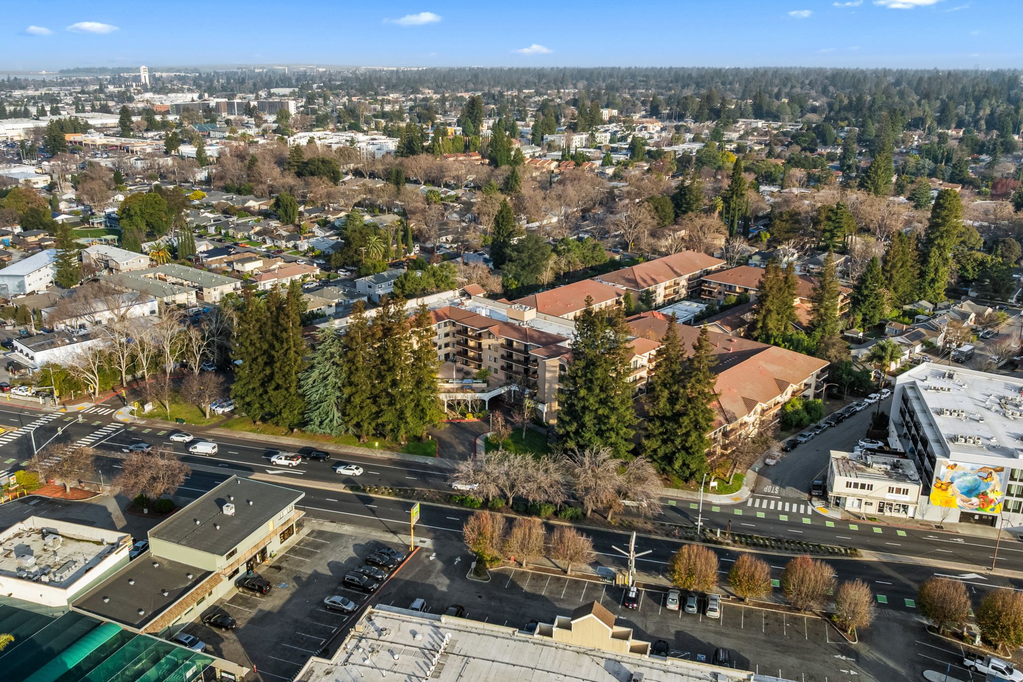 Marbella Redwood City, Redwood City, CA