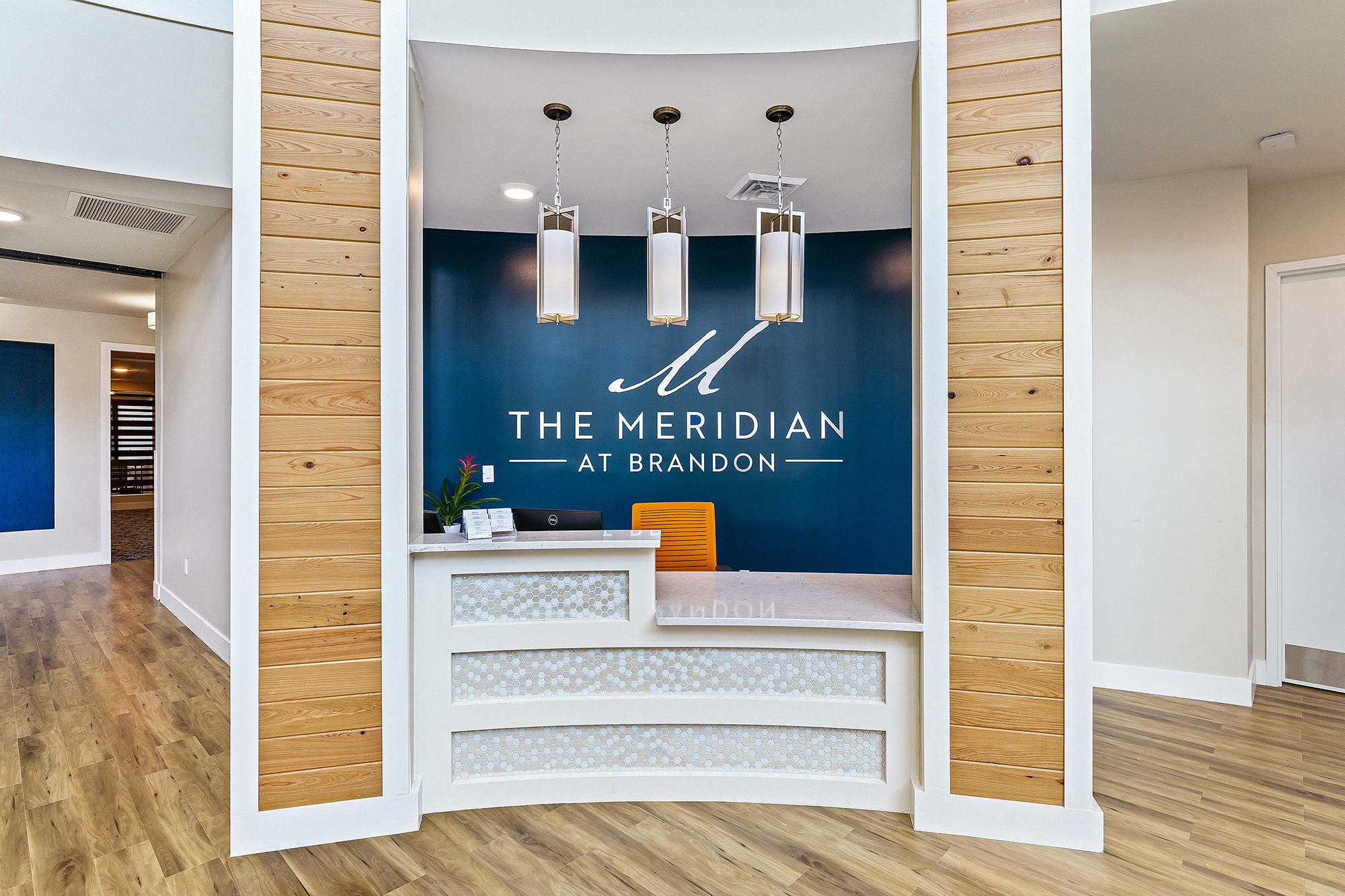 The Meridian at Brandon, Tampa, FL 4