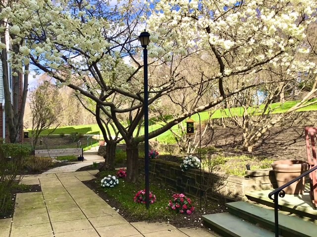 Charter Senior Living of Towson, Baltimore, MD 7