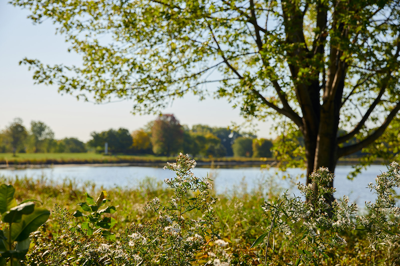 Amira Choice Bloomington, Bloomington, MN 2