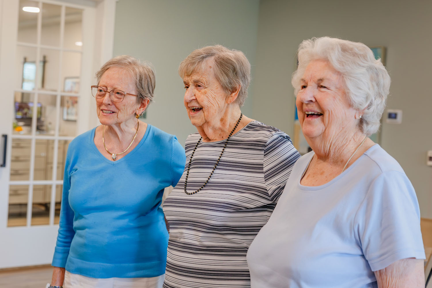 Sancerre at Palm Coast, Palm Coast, FL 18