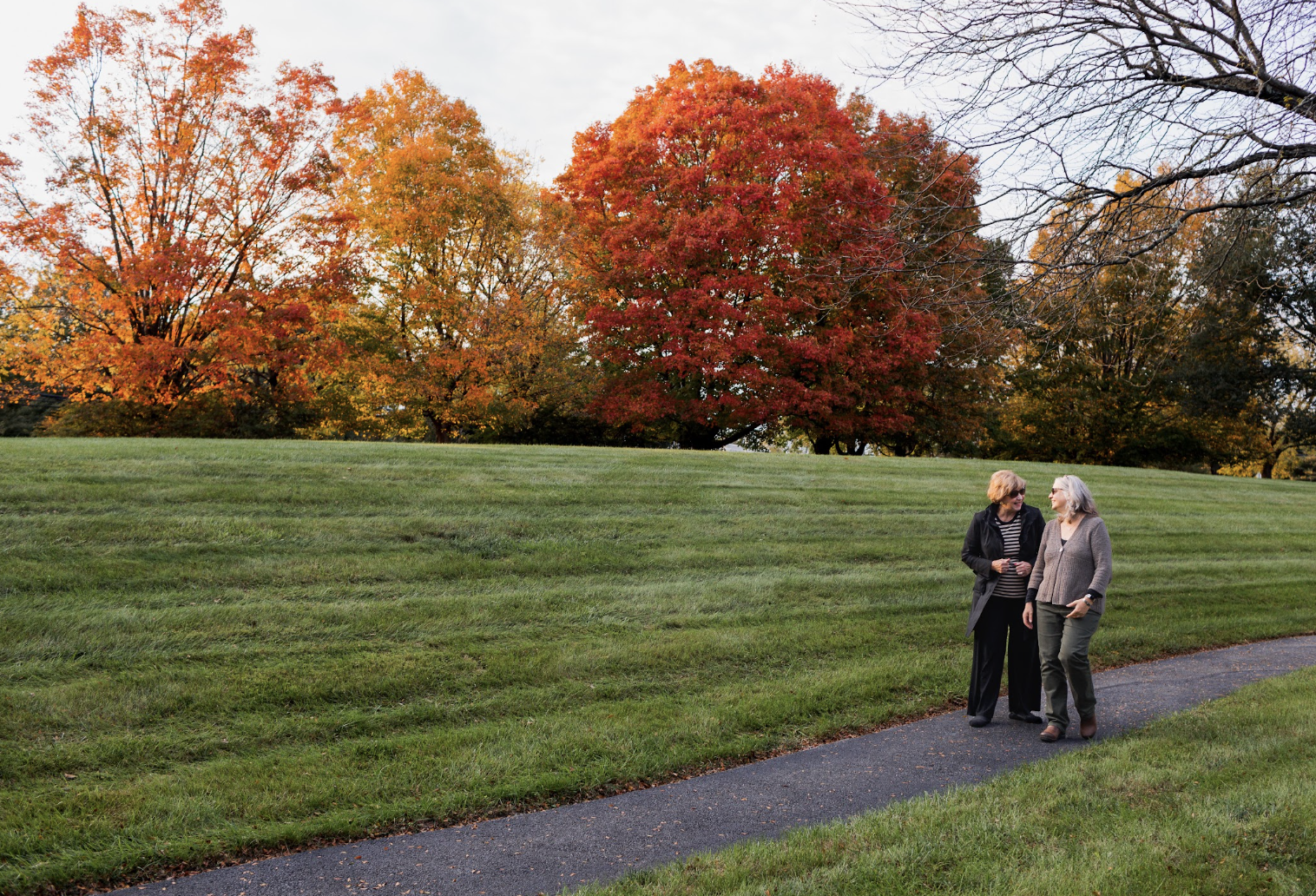 Lima Estates, Media, PA