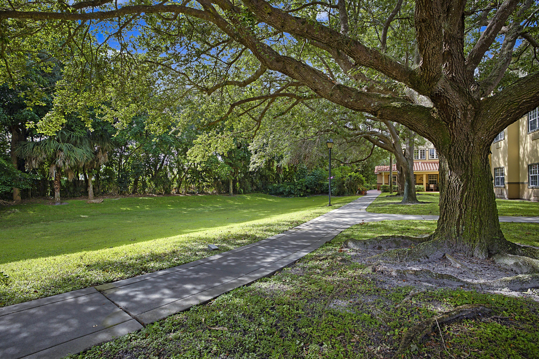 Sonata Boca Raton, Boca Raton, FL 132