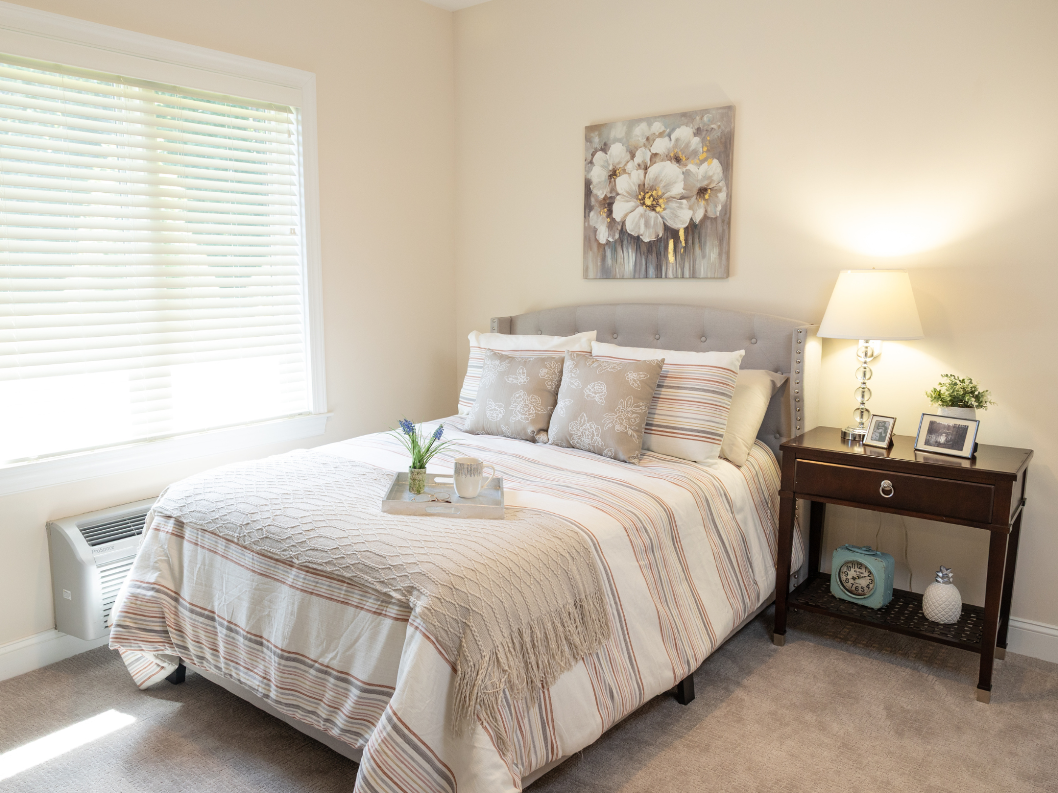 Commonwealth Senior Living at South Boston, South Boston, VA 6