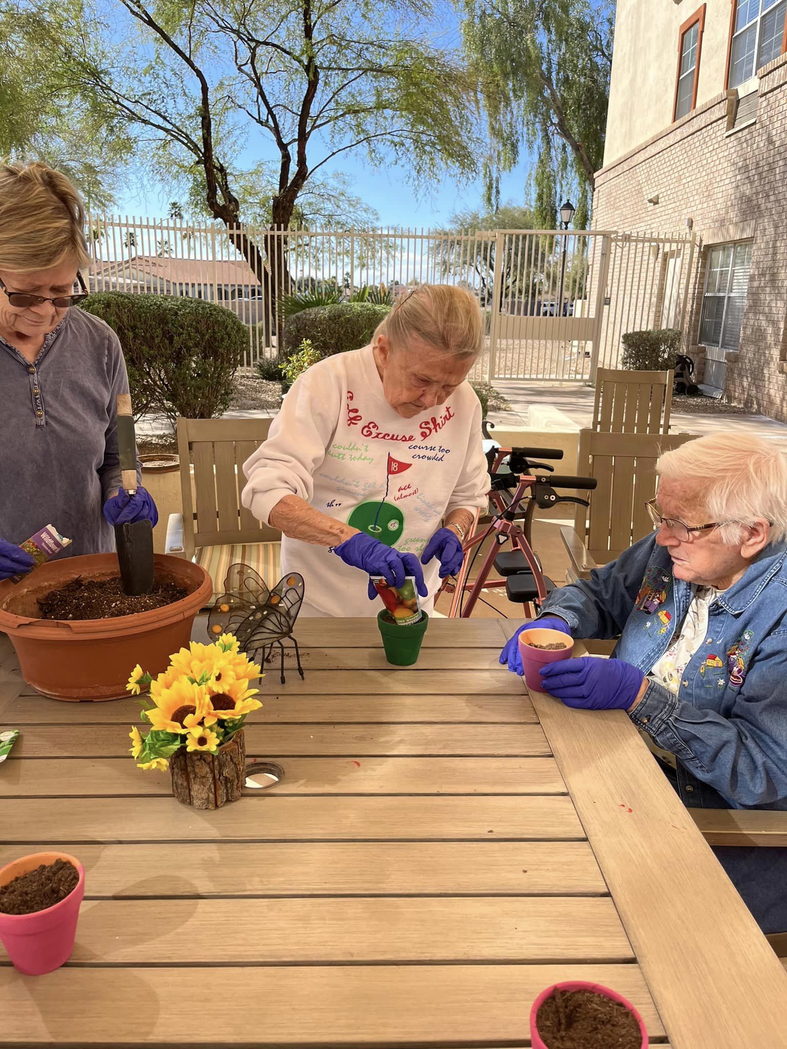 Sun City West, Sun City West, AZ 23