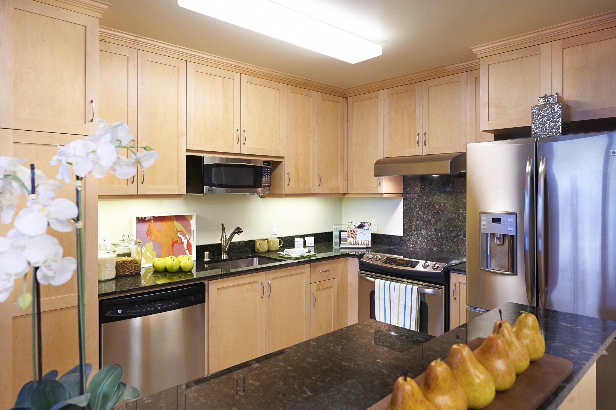 Moldaw Residences, Palo Alto, CA 3