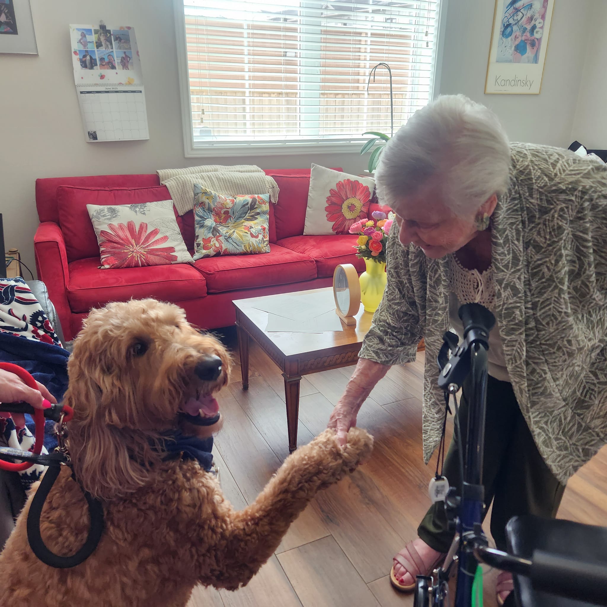 Pegasus Landing of Tanglewood, Houston, TX 10
