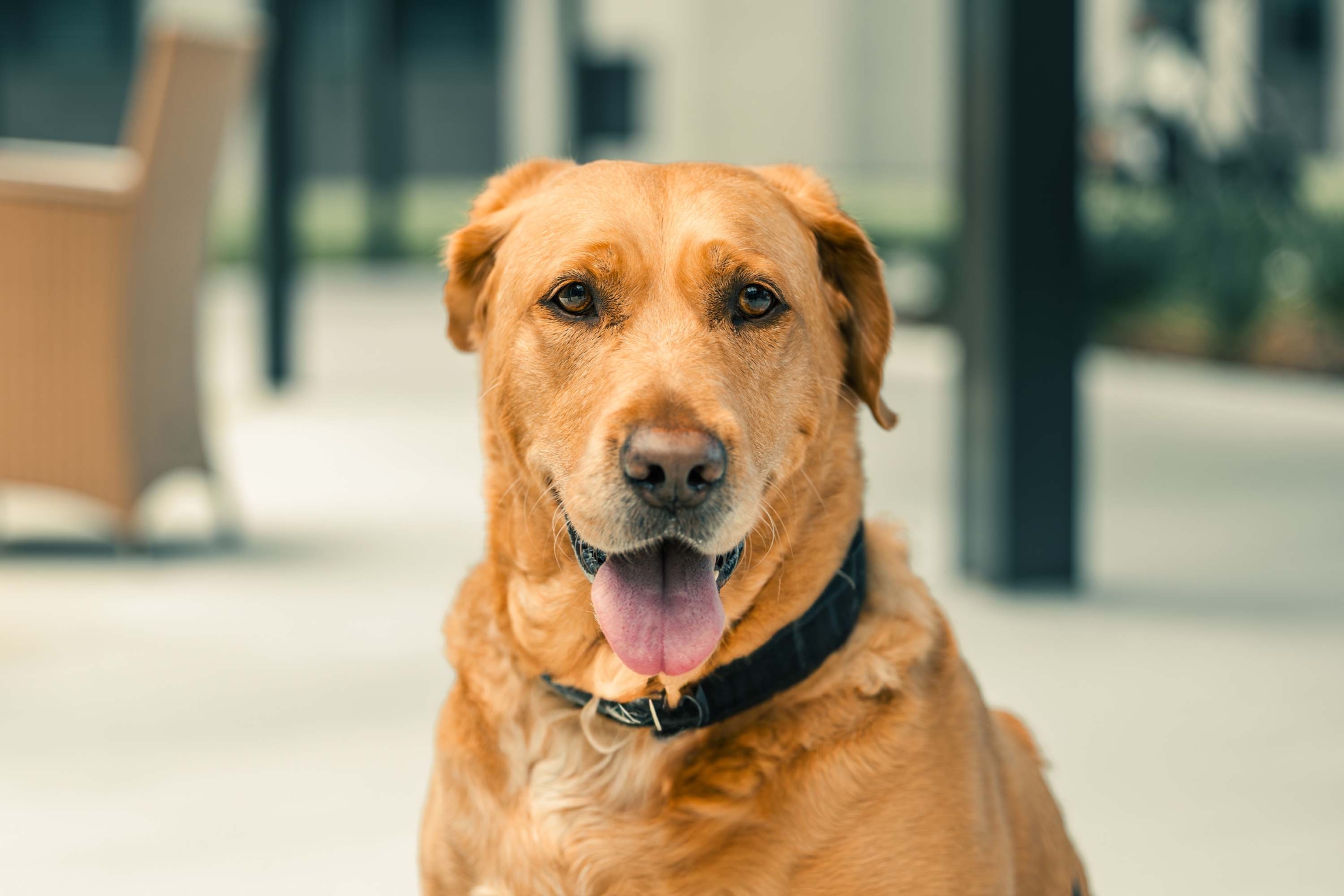 The Gallery at Port Orange, Port Orange, FL 11