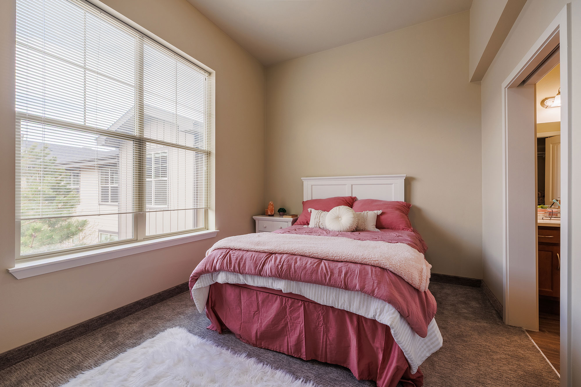 The Ivy Colorado Springs, Colorado Spgs, CO 6