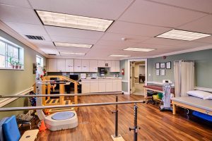 Aston Gardens At Pelican Marsh, Naples, FL 35