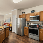 Discovery Village At Twin Creeks, Allen, TX 28