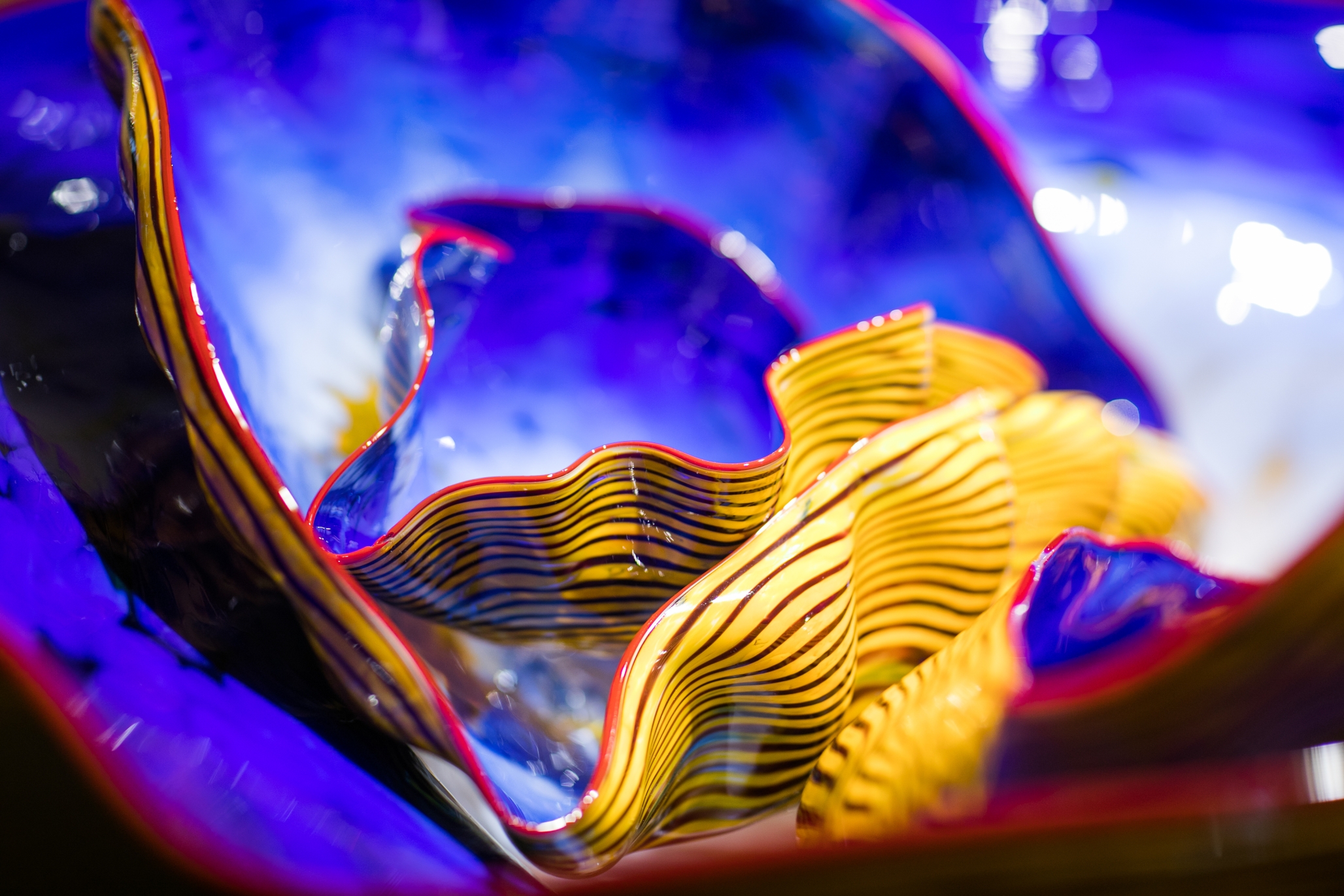 University House Wallingford, Seattle, WA 35