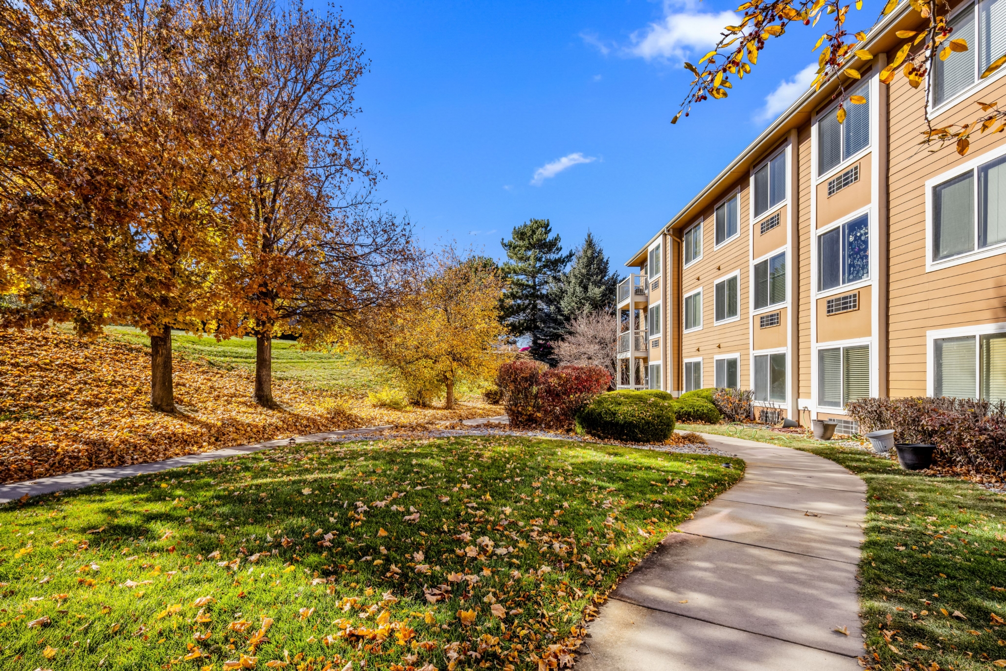 Rivaria Vista Grande, Colorado Springs, CO 26