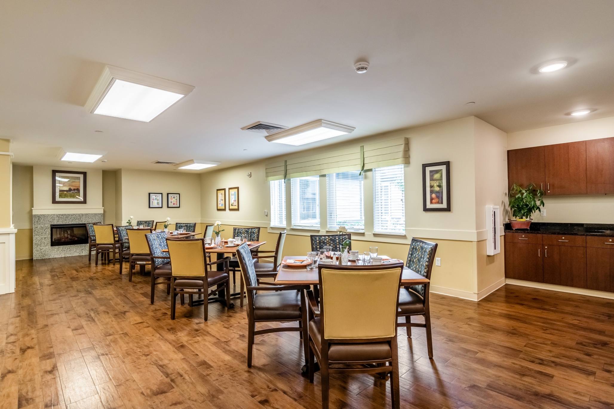 Harvester Place, Burr Ridge, IL 5