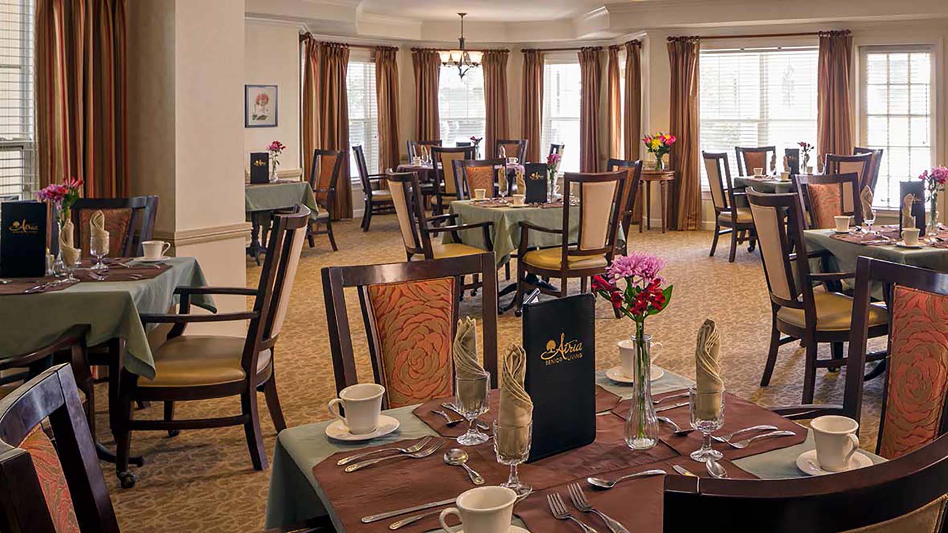 Atria Park of Glen Ellyn, Glen Ellyn, IL 7